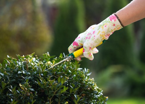 Inclusive Tree Surgeons Fulham online experience with ongoing accessibility improvements