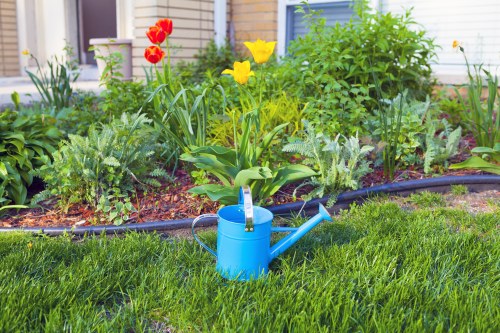 Professional stump grinding service preparing a garden for landscaping