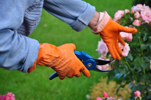 Tree surgeons in Fulham reviewing ethical labour and supplier standards