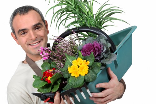 Local tree surgery service for homes and businesses in Fulham